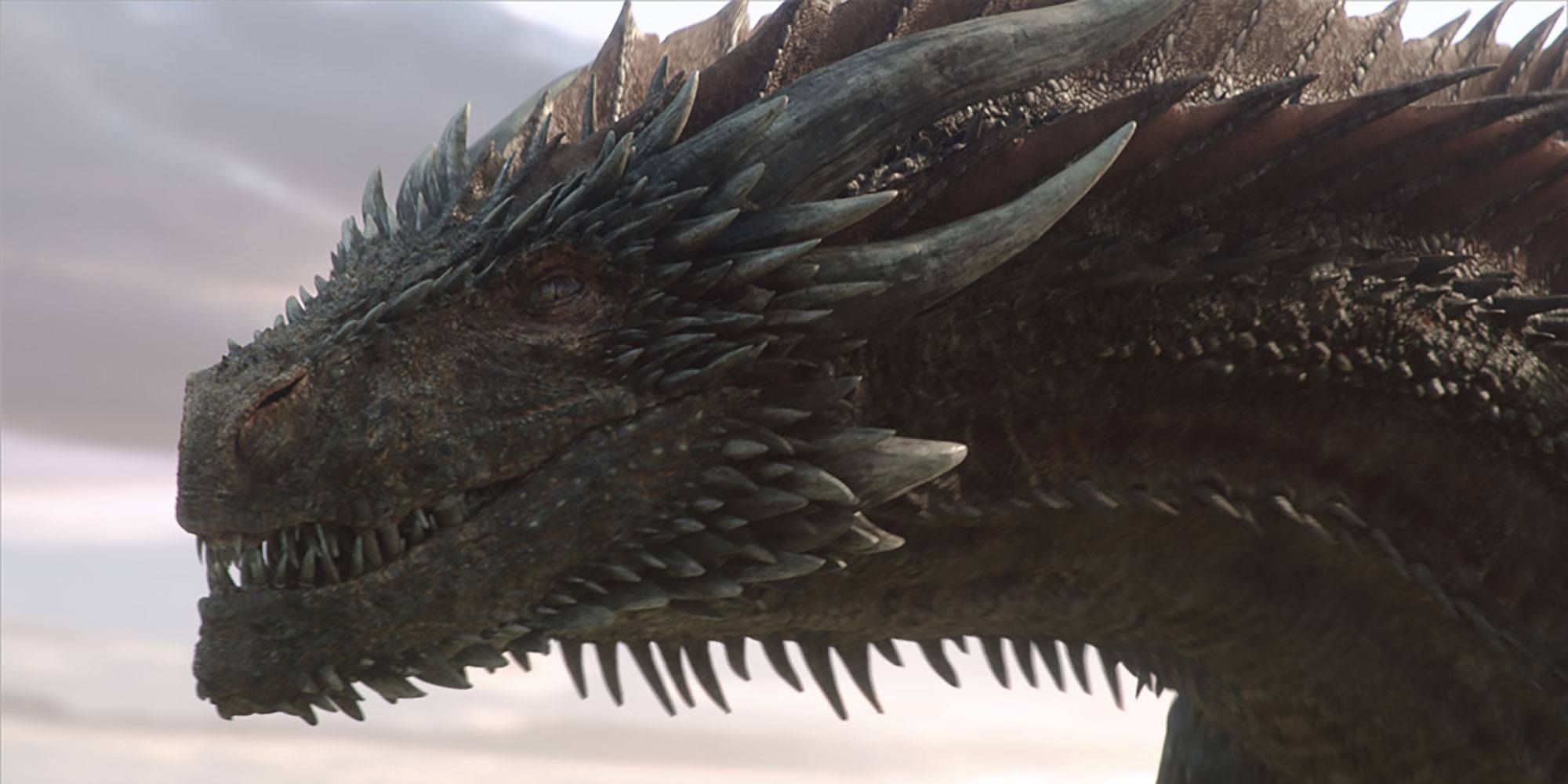‘House of The Dragon’ Casting Targaryen Lead