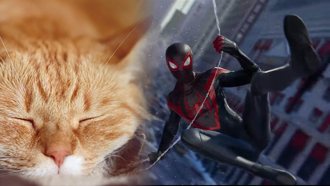 ‘Spider-Man: Miles Morales’ Introduces New Spider-Cat Companion