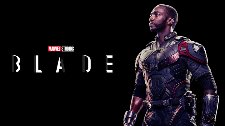 Anthony Mackie Wants to Spend Time in ‘Blade’s World