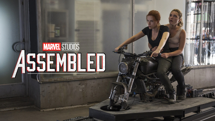 black widow assembled