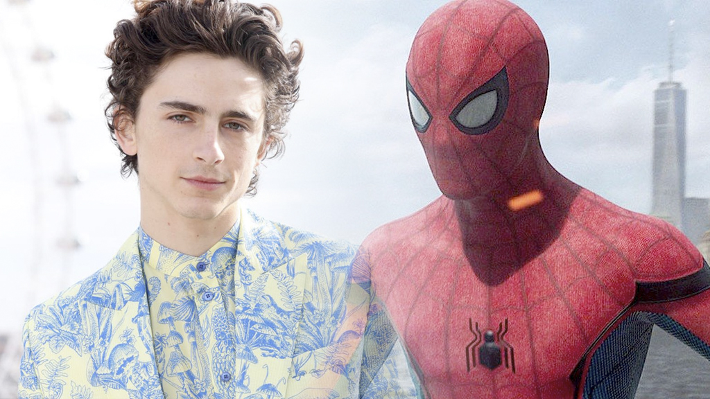 spider man chalamet