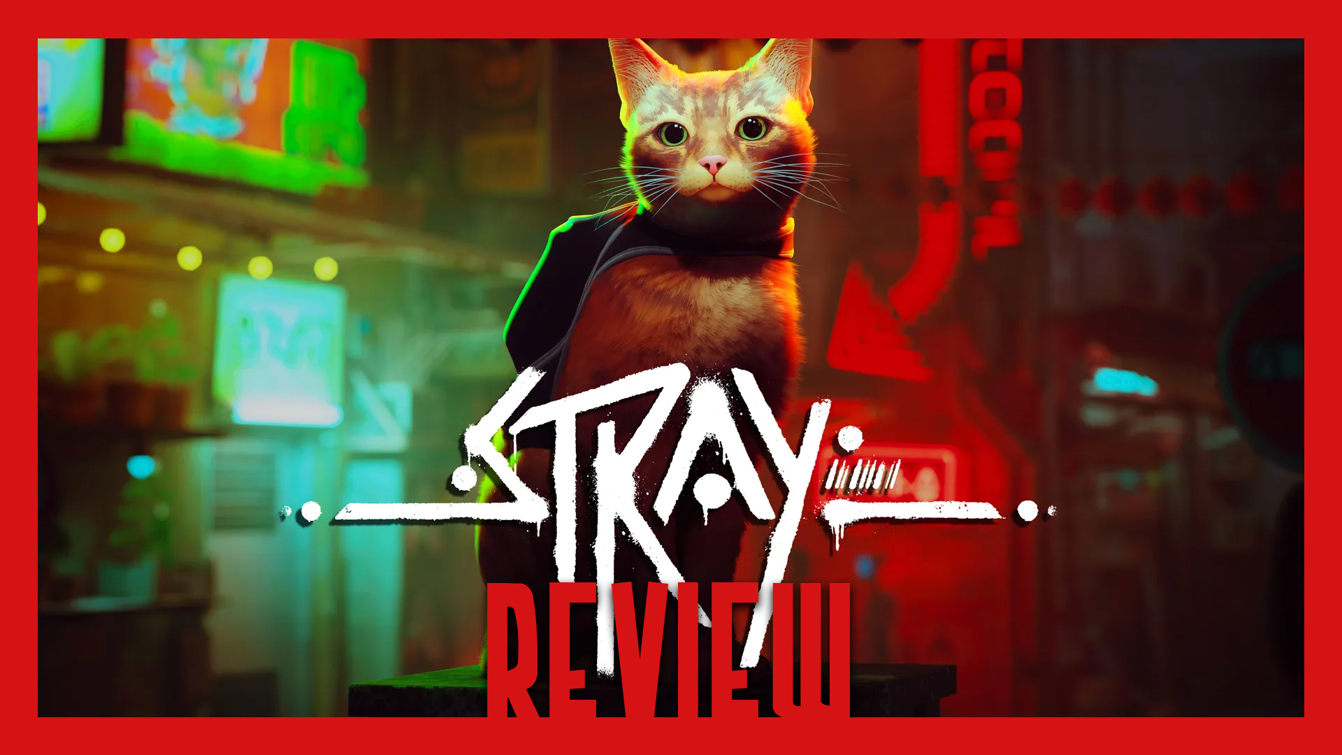 REVIEW: ‘Stray’ Is Death Stranding But With a Cat