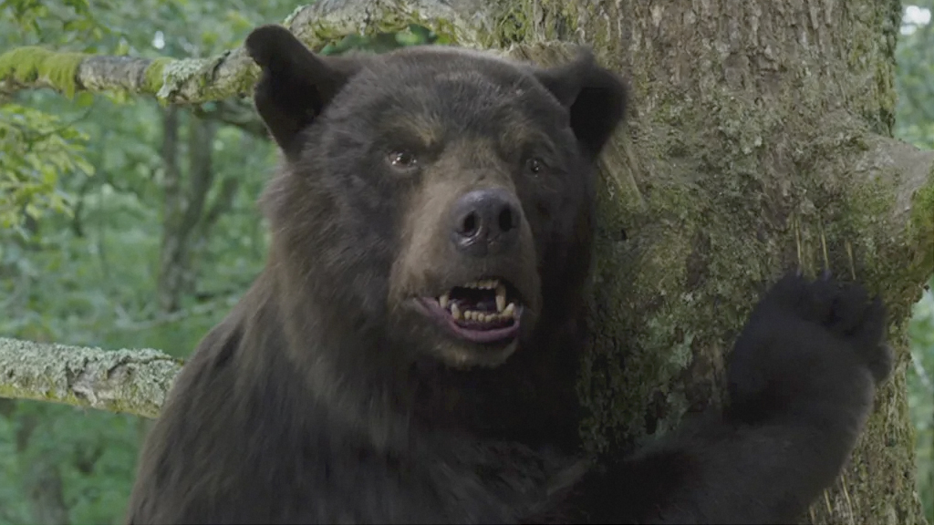 cocaine bear score