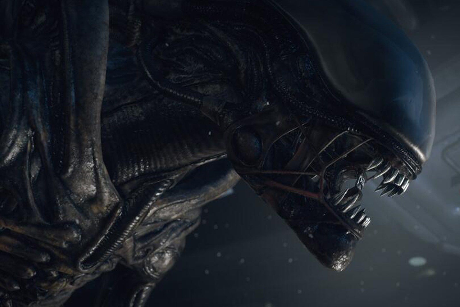 Sydney Chandler to Star in ‘Alien’ TV Series