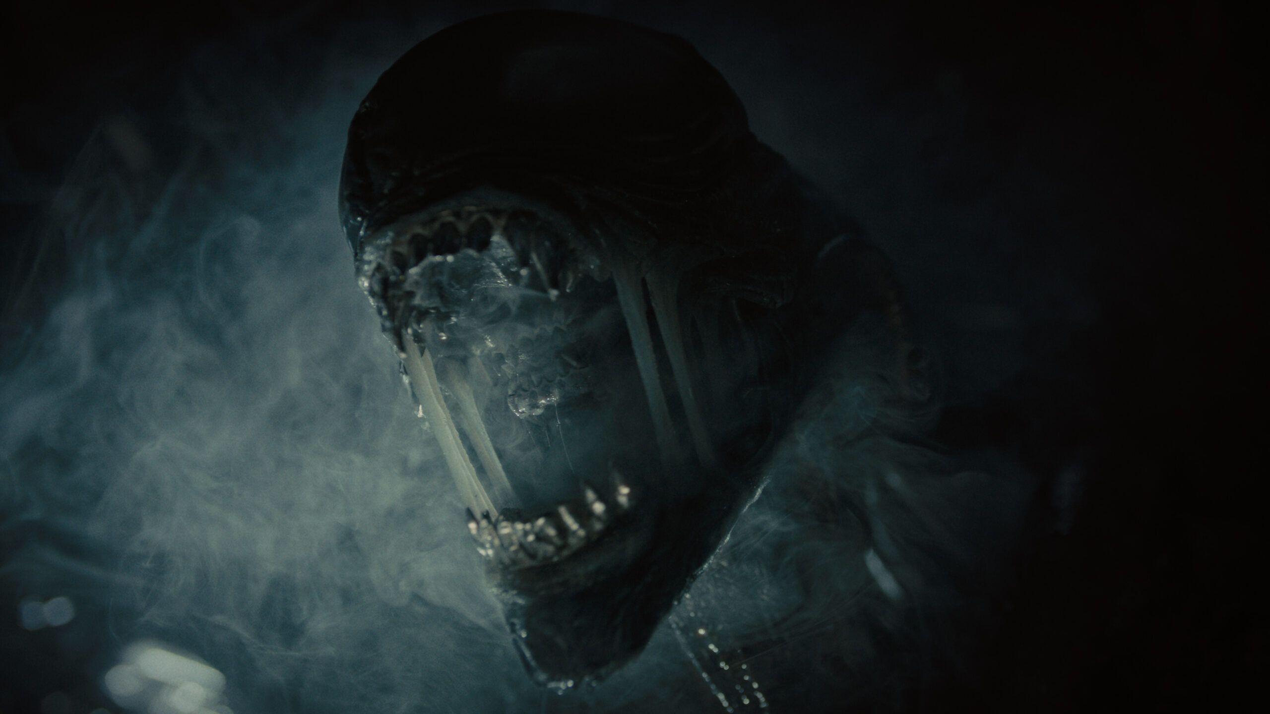 The Ultimate List of What to Watch Before ‘Alien: Romulus’