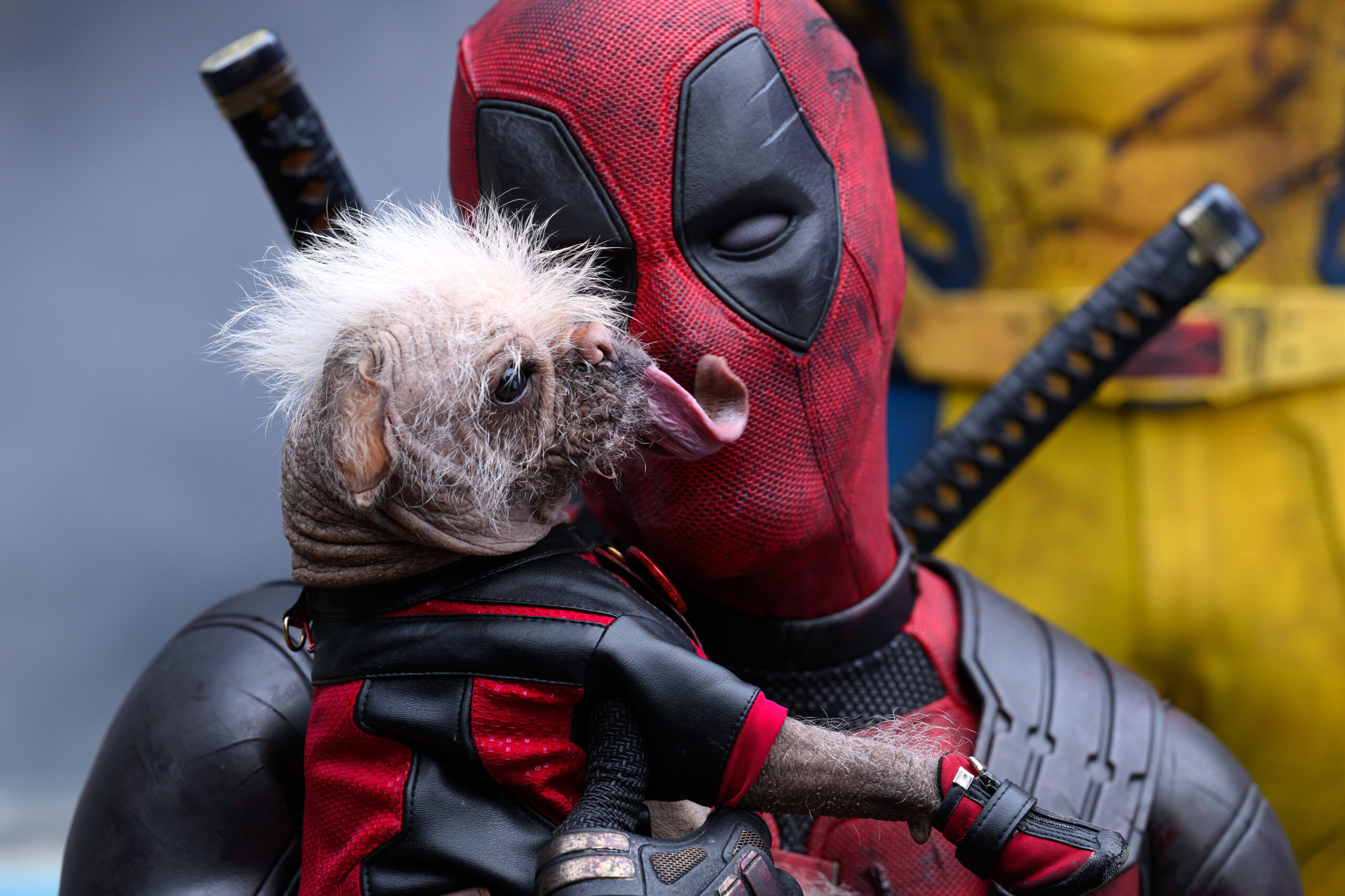 Ryan Reynolds Addresses Deadpool’s MCU Future